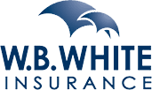Read more about the article WB White Insurance