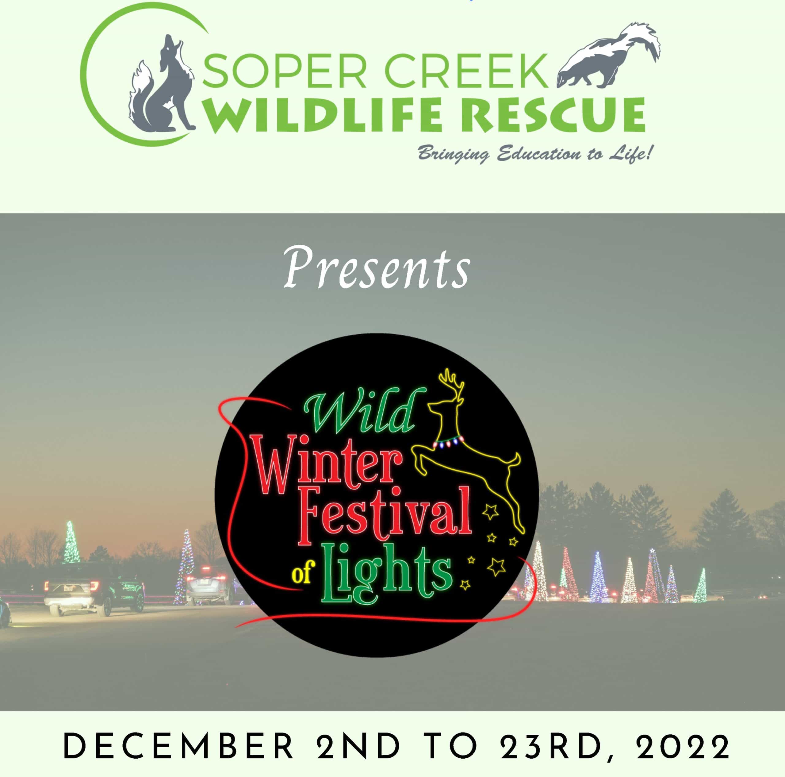 Read more about the article WILD Winter Festival of Lights